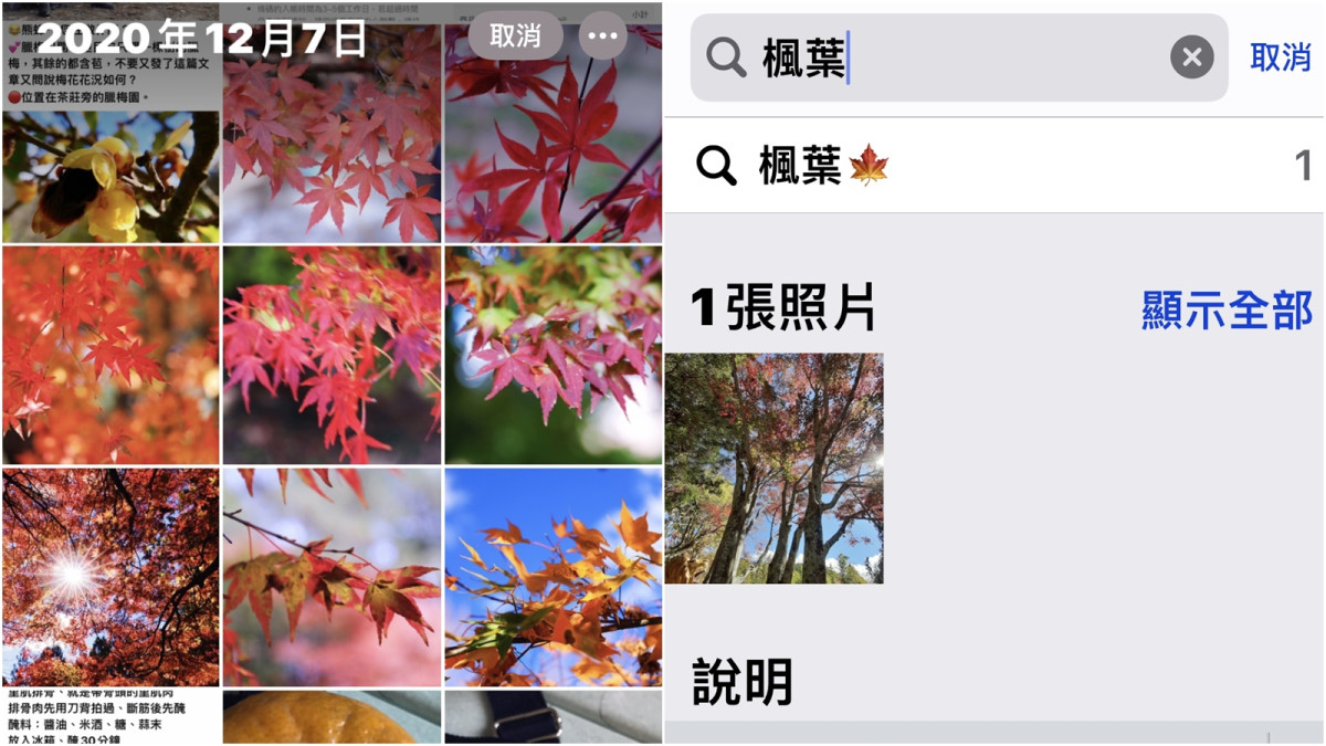 【手機專知】iPhone照片管理更便捷！學會增加文字描述和關鍵字